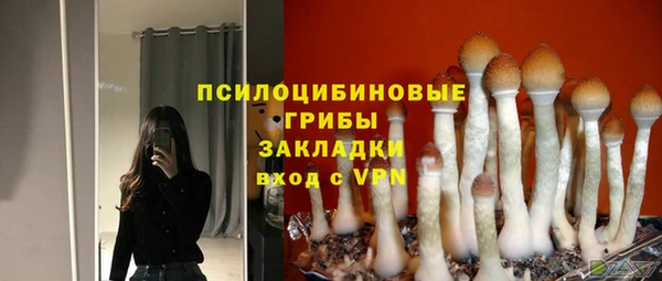мет Алзамай