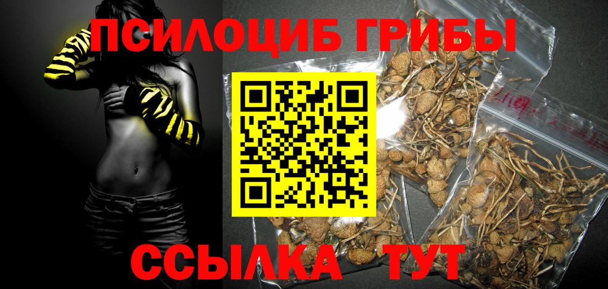 Галлюциногенные грибы Magic Shrooms  Вход с VPN  Псилоцибиновые грибы GOLDEN TEACHER  Стерлитамак 